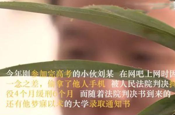 同时收到大学录取通知书和法院判决书 竟是因一部手机