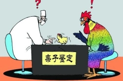Ӽʦ жǻ˽ӣ