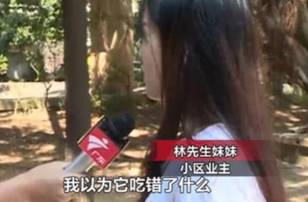 小区投毒狗死亡 死亡原因或是人为投毒故意伤害