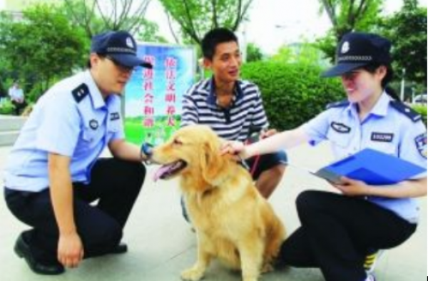 最严遛狗规定是怎么回事？早起贪黑遛狗是否合理？