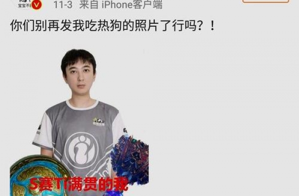 陈赫卖王思聪吃热狗衣服 王思聪微博回应亮了