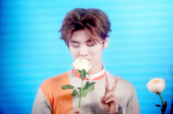 ¹ϵİô ԭʵ벻
