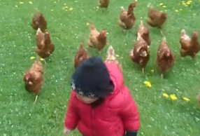 ԵͯӰڵ᲻