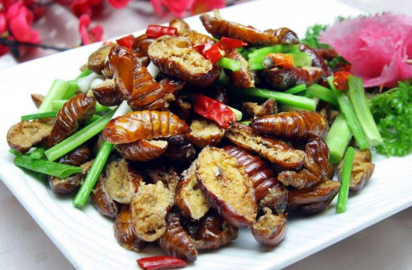 这些多数人不敢吃的美食 你有胆量尝一尝吗？