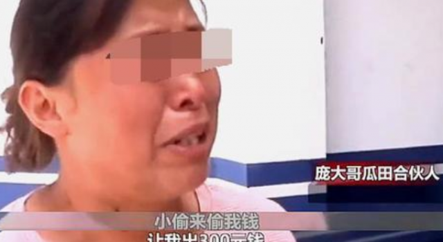 瓜农倒赔偷瓜贼 什么情况？这偷瓜贼以后是拦还是不拦