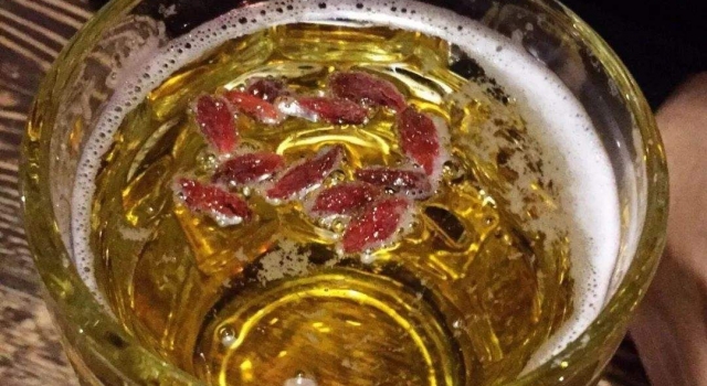伪养生 还再天真的靠啤酒泡枸杞的养生局来续命？
