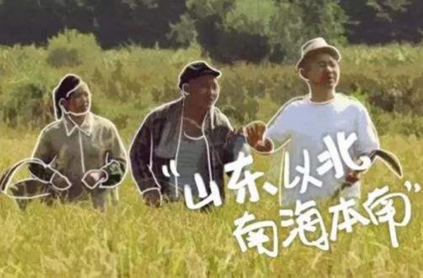 当电信诈骗遇上东北人 网友：聊着聊着就变二人转了