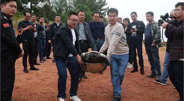 为行善放生300条蛇吓坏村民 网友：真的行善自己养着呗