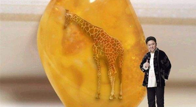 中国学者发现亿年前琥珀花蚤 于谦琥珀梗再被网友调侃