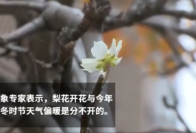 滨Ҳ ѣҲˣ