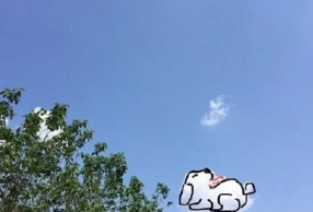 ֱ֢Ҫ Ǻõ