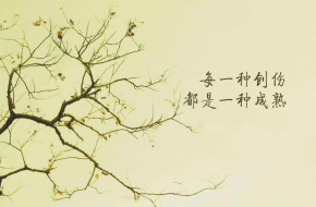 适合生日发的朋友圈 简单有低调的句子推荐给你