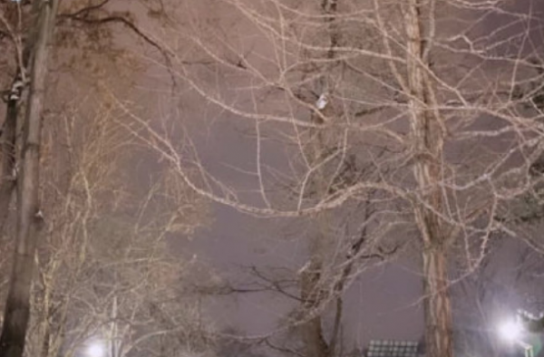高以翔女友发文 回忆一起看雪的日子 生活要向前看