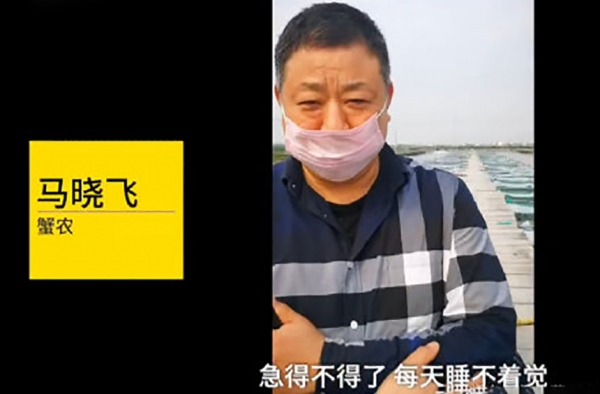 阳澄湖螃蟹大量滞销 却未得同情：抬价不成卖惨而已