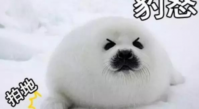 一些难忘的短句 这些句子超拽超霸气 非常走心