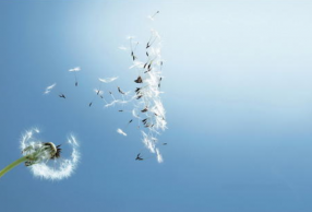 �ֻ��򾭵���¼ ��䴥������ ˵���Ŀ�