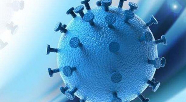湖北新增10例无症状感染者 网友：防控依旧不能放松