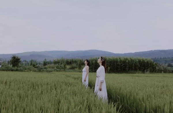 《乘风破浪的姐姐》扎心的一幕，戳破了成年人社交中最大的谎言