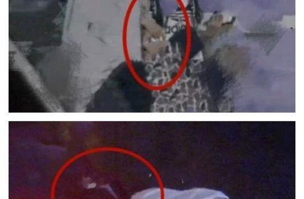 姜姜恋情曝光！共度一夜还玩亲亲，网友：我家白菜被拱了
