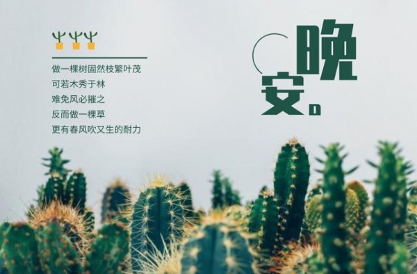 巩俐上热搜后，评论区留下10000句羞辱：外貌羞辱是一把枷锁