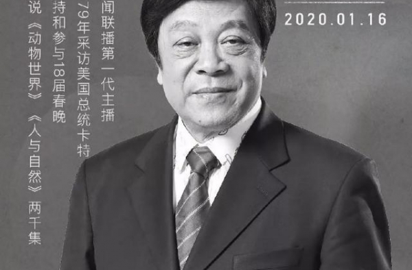 饶颖门后，赵忠祥因癌症离世，葬礼上哭到昏厥的张美珠如今怎样了