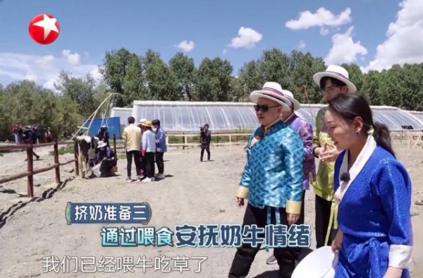 《极挑》任嘉伦挤牛奶被调侃，岳云鹏真奶量和“贾乃亮”的梗搞笑