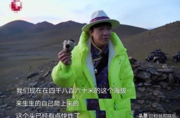 极限挑战致歉声明，无实际采摘珍稀植物行为，还欠刘宇宁一个道歉