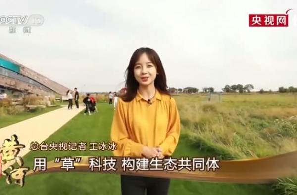 央视记者王冰冰登上热搜，长相甜美还是学霸，好看的都上交国家了