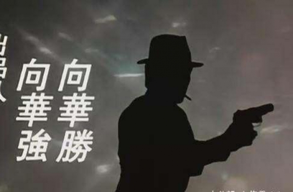 向华强用一生照顾的2个女人，一个是陈岚，另一个已皈依佛门