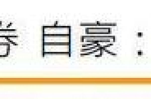 ＂雷老虎＂坐轮椅现身，一生未婚无儿女，去世后2百万遗产留保姆
