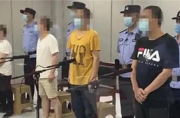 2019春节档电影盗版者获刑，吴京沈腾起诉，网友：严惩不贷