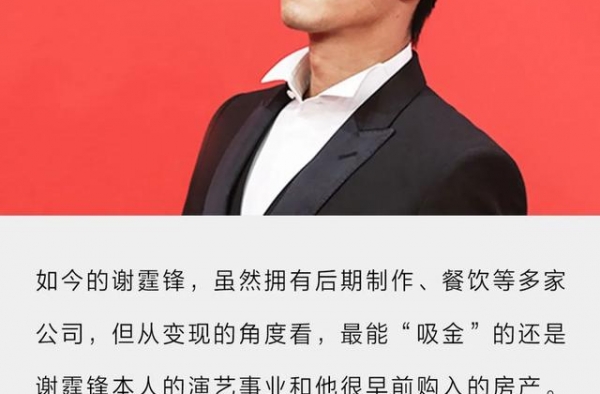 谢霆锋旗下15家公司基本不赚钱，最吸金的是出道时买的几个门面