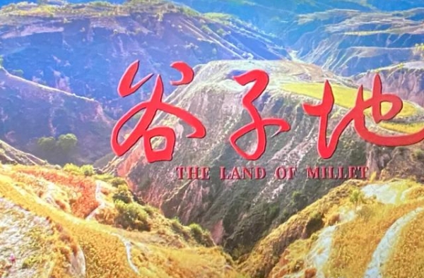 电影《谷子地》全球首映！