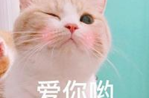 早报超有料丨《沐浴之王》彭昱畅变身搓澡王 黄晓明为新角色蓄须