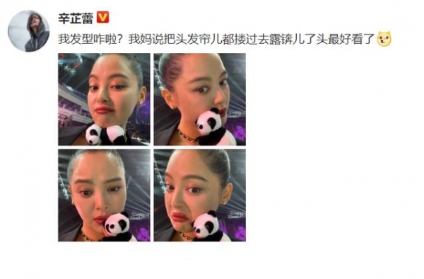 辛芷蕾提鸟笼走红毯，露脑门发型引争议，发自拍照霸气回怼