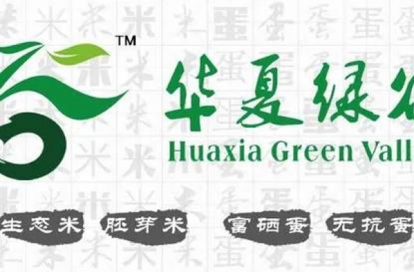 知名女星秘密结婚