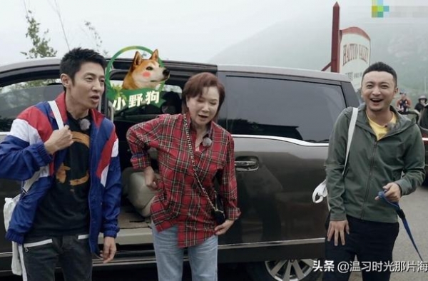 撒贝宁自曝母亲已去世，龙凤胎出生，他第一条微信告知已逝母亲