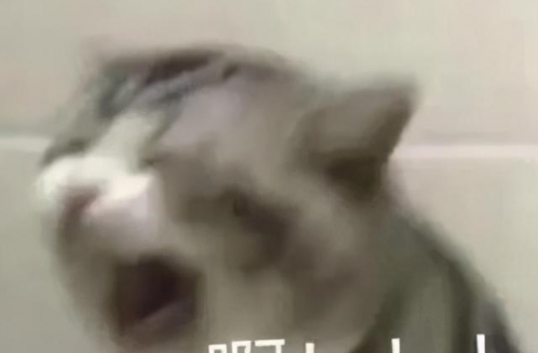 救命！谁能把唐嫣的傻白甜封印彻底解除啊