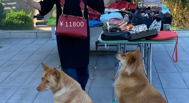 汪明荃晾70个包，百万正品挂着像地摊货！六千万的豪宅只住俩人