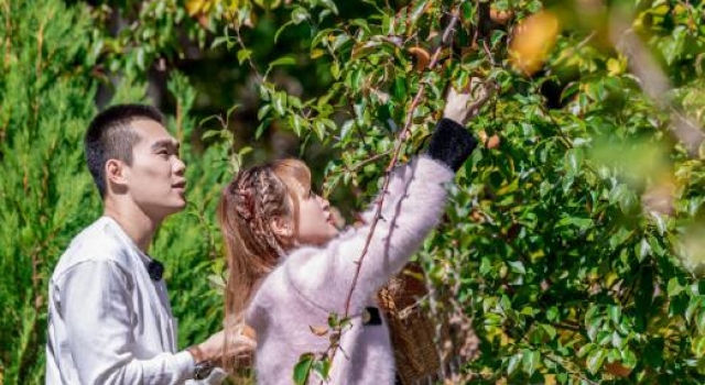 《女儿3》张豆豆于家翊牵手，她果然把情感专家的建议当耳旁风了