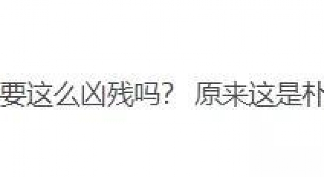 年底压轴大爽片，看得我一秒都不舍得快进