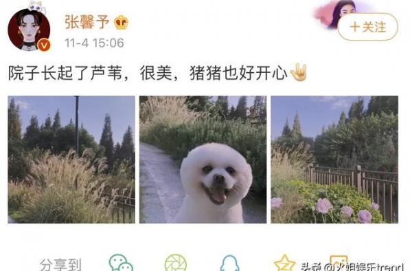 张馨予结婚之后越来越接地气，好的婚姻对女人多重要