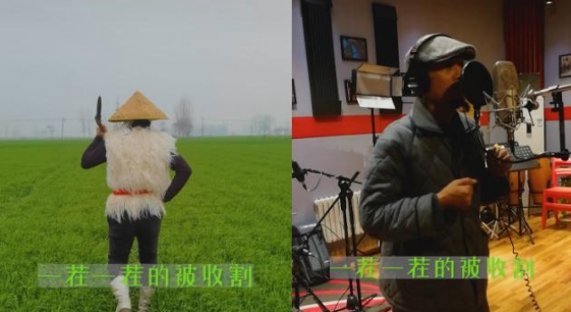 阿宝田里割韭菜，录新歌场地太简陋！之前住地下室贷款十年才买房