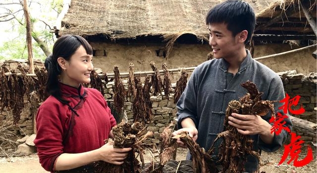 《把家虎》袁家骏诠释15岁少年在战争年代的家国情怀