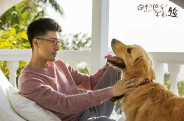 一等就是四年！张鲁一老剧新播，《这个世界不看脸》能翻盘么？