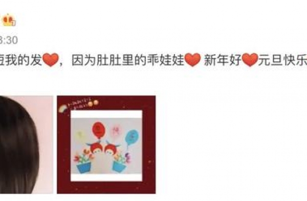 看完热搜上的谢娜怀孕，我想到了比996还惨的职场妈妈