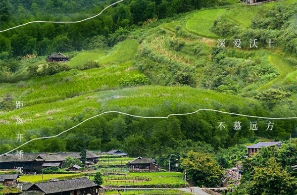 海报丨《江山如此多娇》周日见！快乐追剧模式即将开启